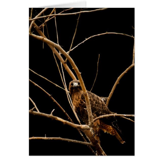 Golden Card OBS Kort (Framsidan)