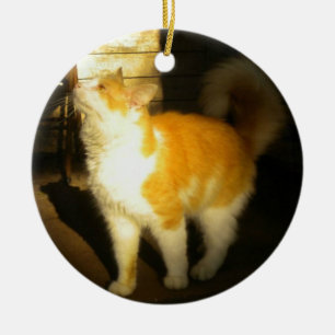 Golden Cat Julgransprydnad Keramik