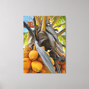 Golden Coconuts Canvastryck