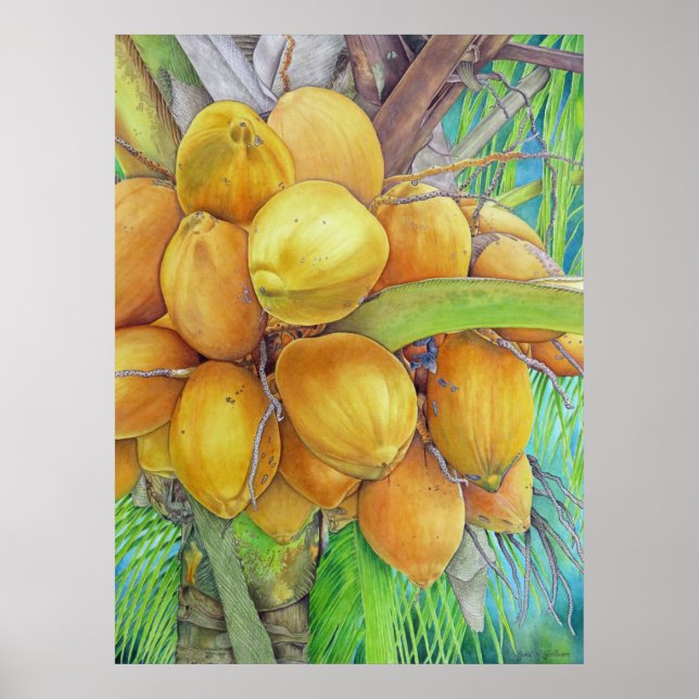 Golden Coconuts Poster (Framsidan)