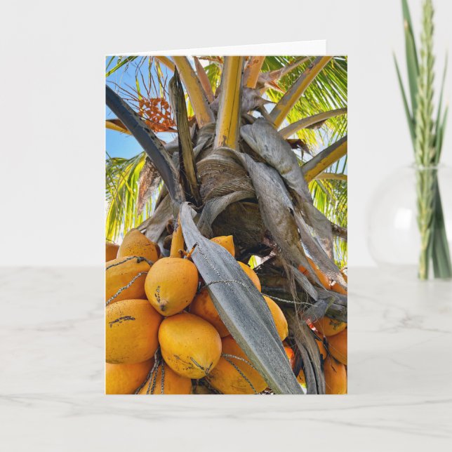 Golden Coconuts Tack Kort (Framsida)