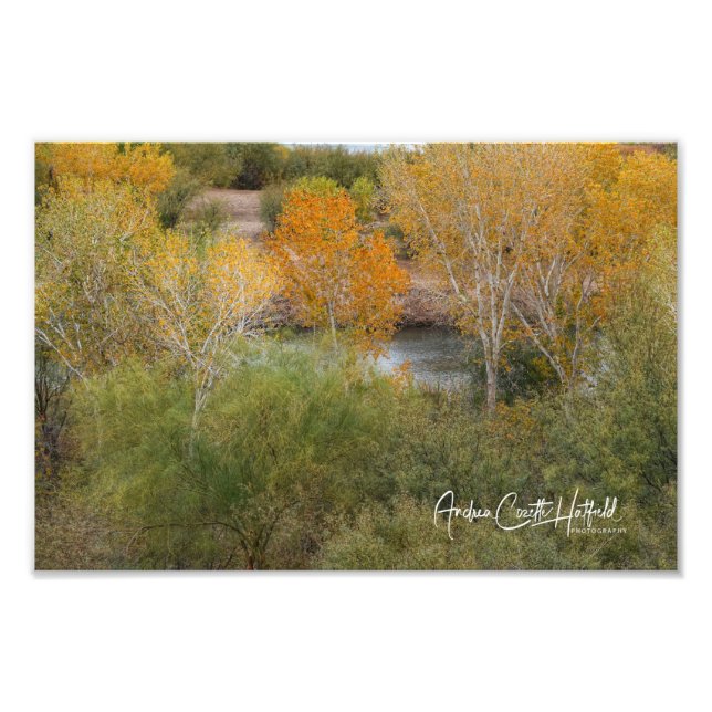 Golden Colorado Fototryck (Framsidan)