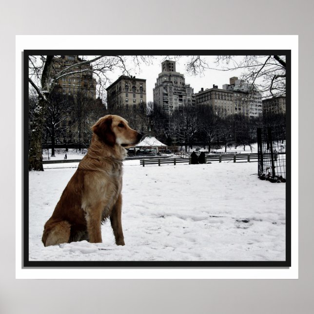 Golden-Conservatory-Central Park 3D Ram Poster (Framsidan)