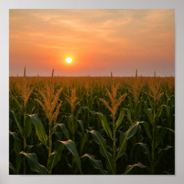 Golden Cornfield Sunset Background Poster