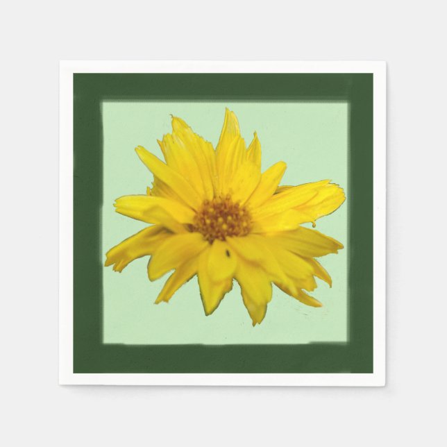 Golden Crownbeard Pappersservett (Framsidan)