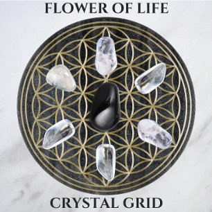 Golden Crystal Grid i Cosmos blomma