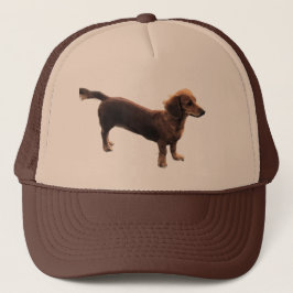 Golden Dachshund Keps