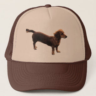 Golden Dachshund Keps