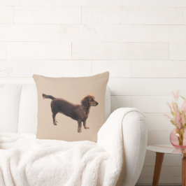 Golden Dachshund Kudde