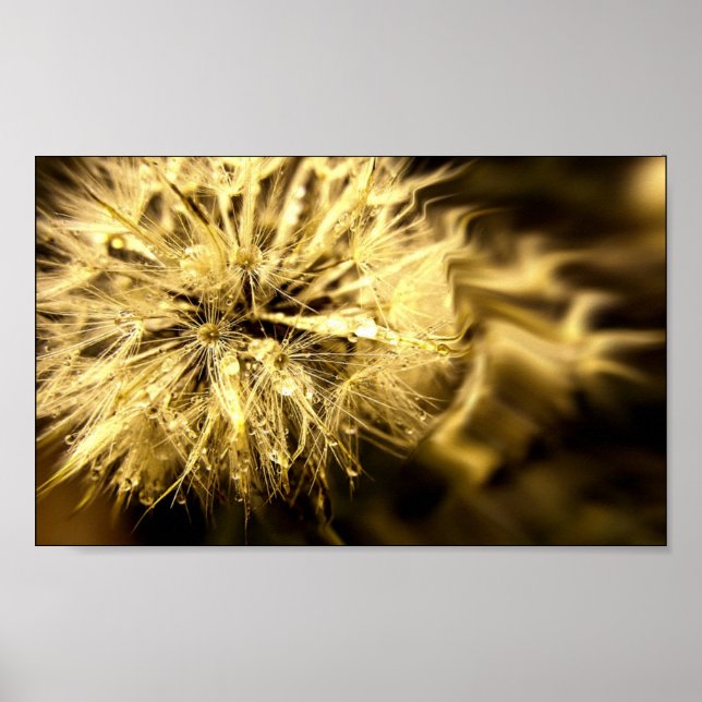 Golden Dandy Dreams Poster (Framsidan)