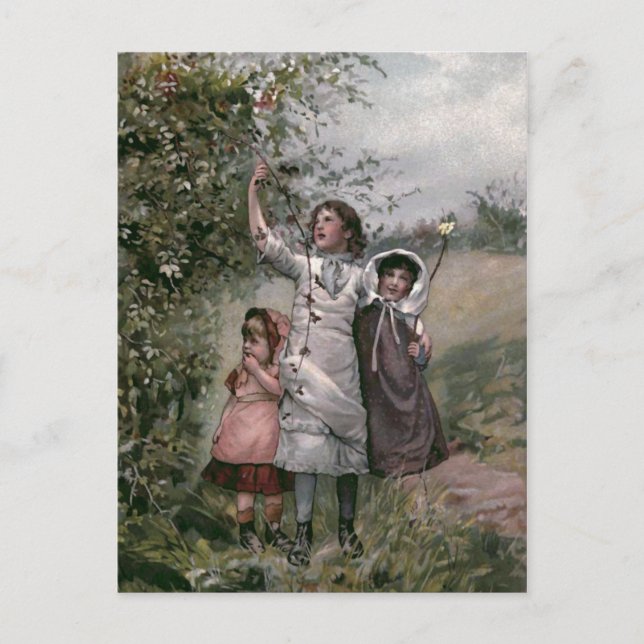 Golden Days Vintage Bok Illustration Vykort (Framsida)