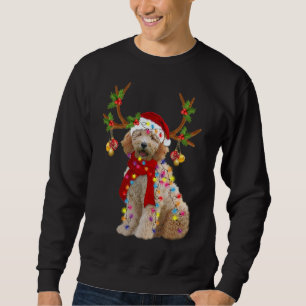Golden Doodle Gorgous Reindeer Julgran Lig Lång Ärmad Tröja