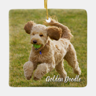 Golden Doodle Hund Julgransprydnad Keramik