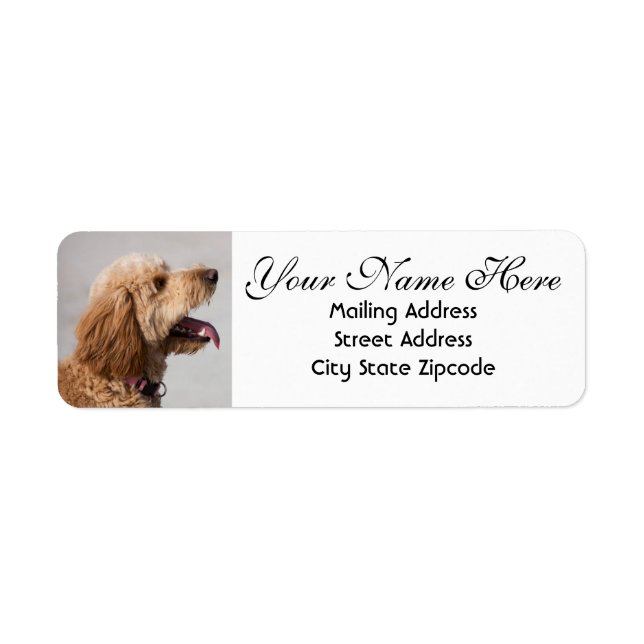 Golden Doodle Hund Returadress Returadress Etikett (Framsidan)