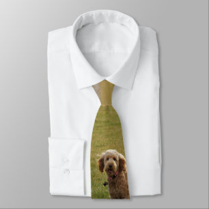 Golden Doodle-Hund Slips
