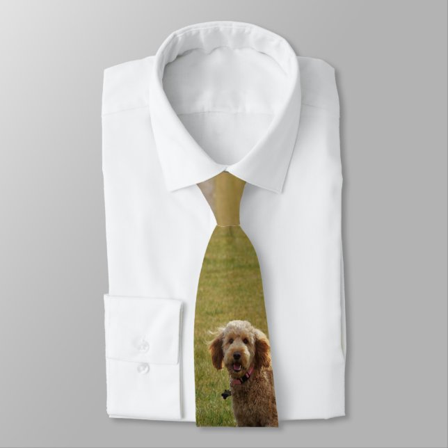 Golden Doodle Hund Slips (Bunden)