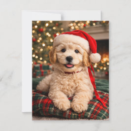 Golden Doodle Julkort