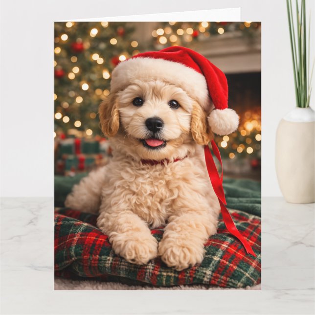 Golden Doodle Julkort Kort (Framsida)