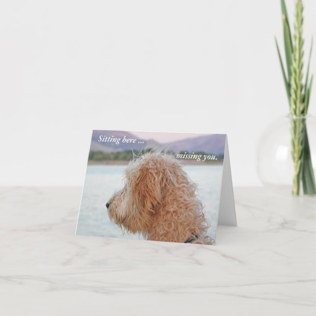 Golden Doodle-kort - du saknar skydd Kort (Framsida)