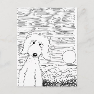 Golden Doodle på stranden Vykort