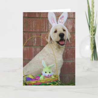 Golden Doodle Påsk Card Helgkort