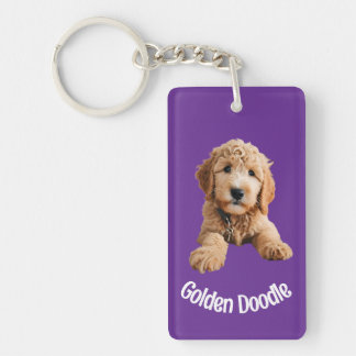 Golden Doodle Puppy