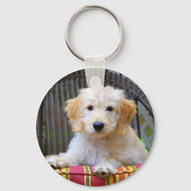 Golden Doodle Puppy Keychain Nyckelring (Framsida)