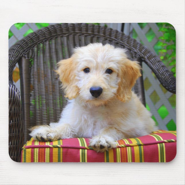 Golden Doodle Puppy Mousepad Musmatta (Framsidan)