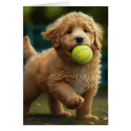 Golden Doodle Puppy Plays Boll Tillfällen Greet Hälsningskort