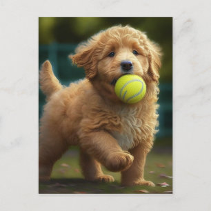 Golden Doodle Puppy Plays Boll Vykort