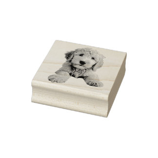 Golden Doodle Puppy Stämpel