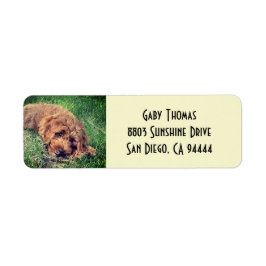 Golden Doodle-Returetiketter Returadress Etikett