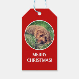 Golden Doodle Röd Presentetikett