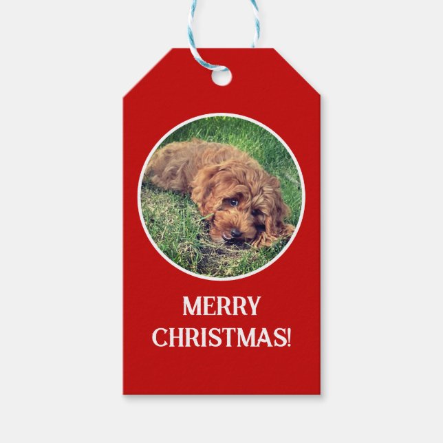 Golden Doodle Röd Presentetikett (Framsidan)