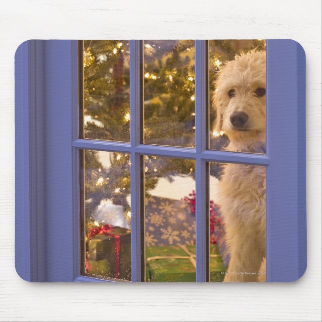 Golden Doodle-valpen tittar ut glasdörren med Musmatta (Framsidan)