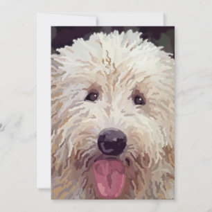 Golden Doodle-vykort