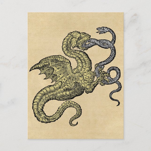 Golden Dragon Fighting Snake Vykort (Framsida)