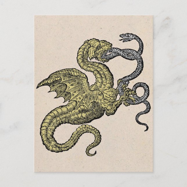 Golden Dragon och Silver Snake Vykort (Framsida)