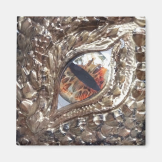 Golden Dragon Öga Magnet