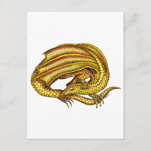 Golden Dragon Vykort