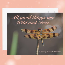 Golden Dragonfly All Bra Sak Vild och Free Vykort