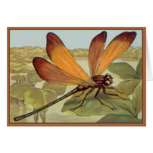 Golden Dragonfly Hälsningskort