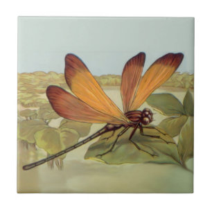Golden Dragonfly Kakelplatta