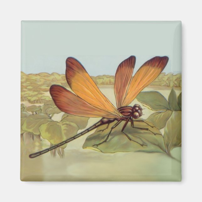 Golden Dragonfly Magnet (Framsidan)