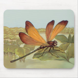 Golden Dragonfly Musmatta