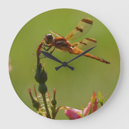 Golden Dragonfly på Grönt Stor Klocka