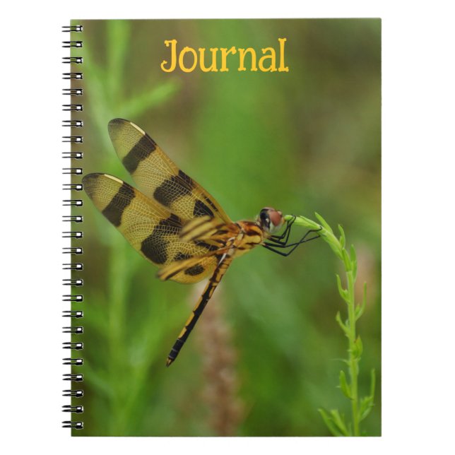 Golden Dragonfly Personal Journal Anteckningsbok (Framsidan)