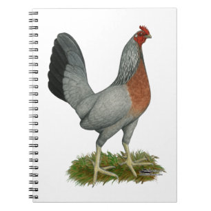 Golden Duckwing Hen Anteckningsbok Med Spiral