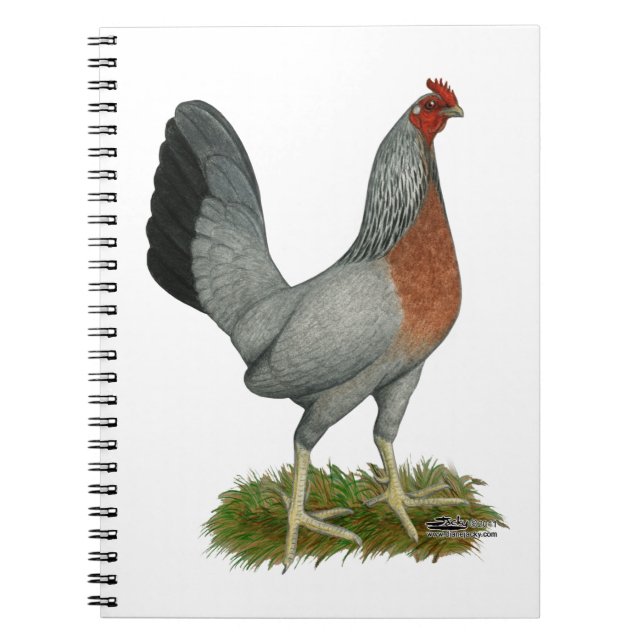 Golden Duckwing Hen Anteckningsbok Med Spiral (Framsidan)