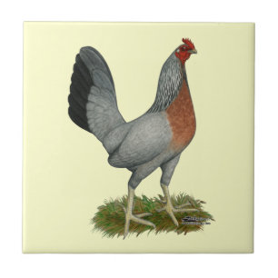 Golden Duckwing Hen Kakelplatta